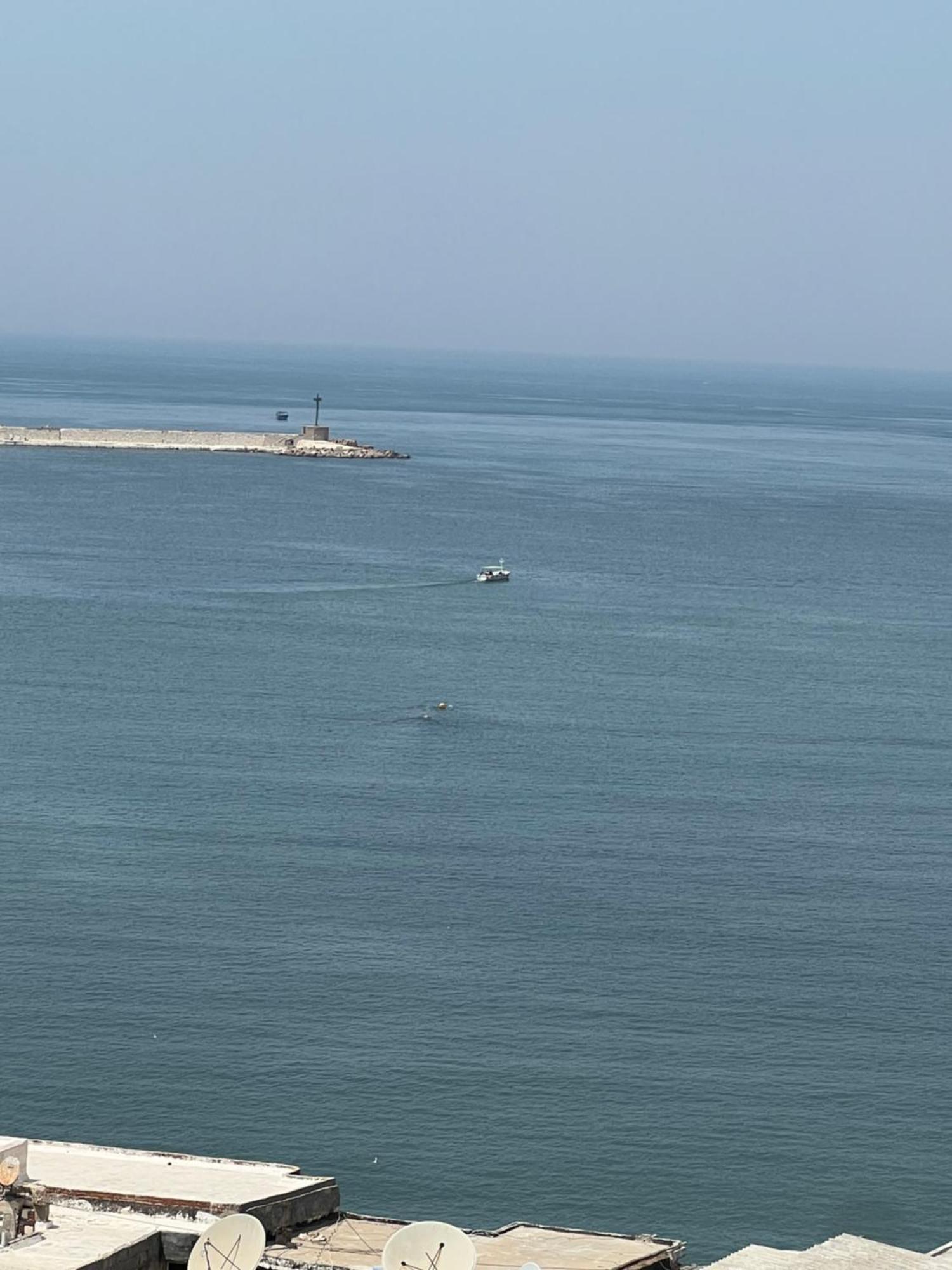 Downtown Sea View Suites Alexandria Eksteriør bilde